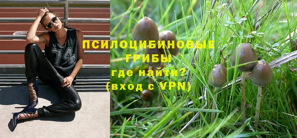 шишки Баксан