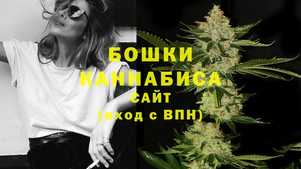 шишки Баксан