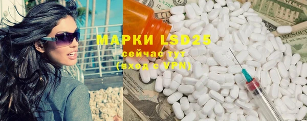 шишки Баксан