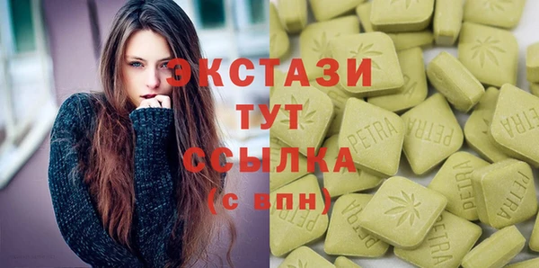 индика Ельня