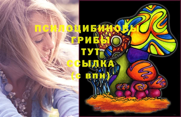 шишки Баксан